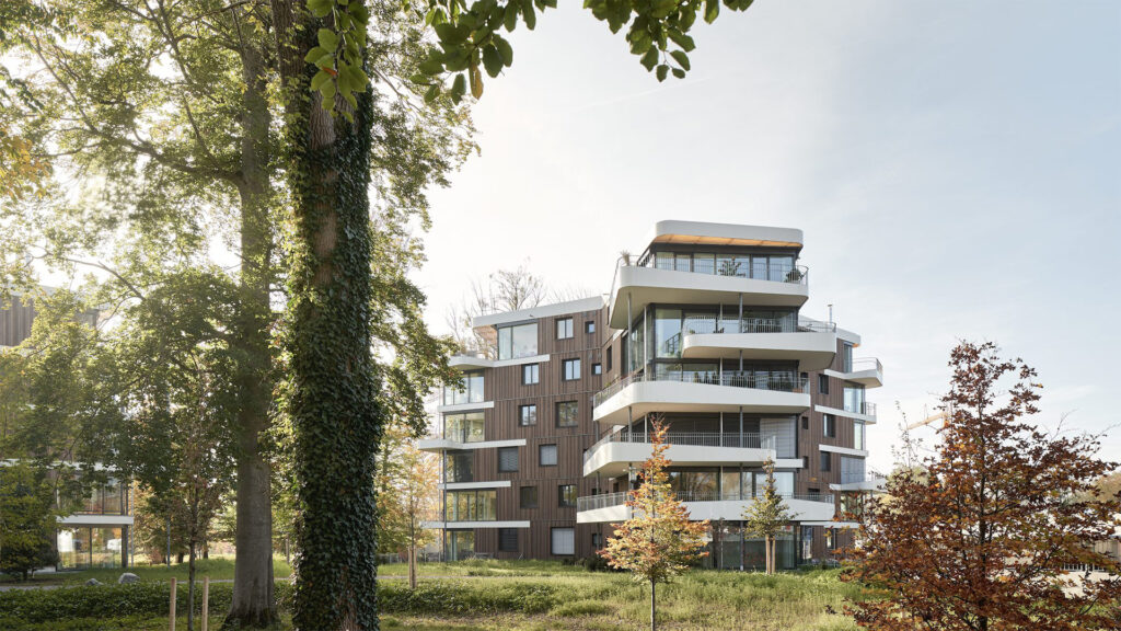 wep-titelbanner-hg-6