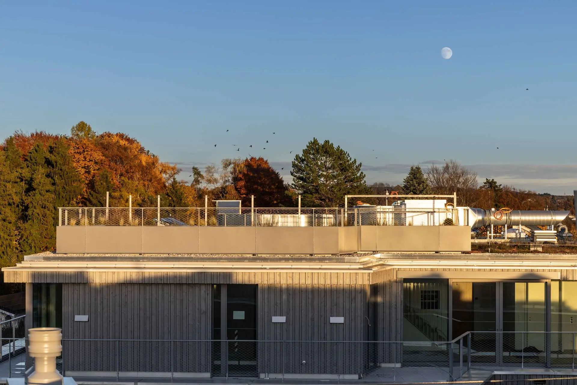 Dachterrasse Penthaus HERDERGÄRTEN 2.5.2